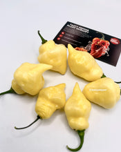 Load image into Gallery viewer, Ripe White UFO pepper pods for White UFO pepper seeds