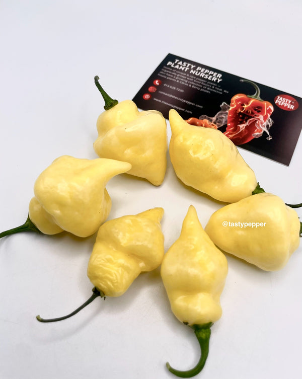 Mild & Sweet Pepper Seed