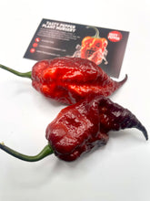 Load image into Gallery viewer, Fox Purple Naga Ruby pepper pods showing purple-to-red coloration