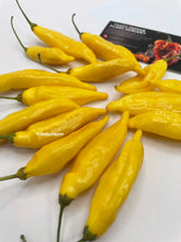 Load image into Gallery viewer, Harvested yellow Lemon Drop chili peppers