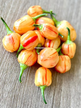 Load image into Gallery viewer, Ripe Peppa Peach Stripey pepper pods on a wooden surface