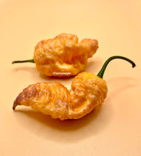 Load image into Gallery viewer, Purple Peach Carolina Reaper pepper pods showing purple and peach coloration