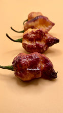 Load image into Gallery viewer, Pockmark Peach pepper plant with developing super-hot pods