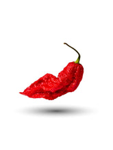 Load image into Gallery viewer, Ripe red Bhut Jolokia Ghost Pepper pod