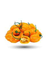 Load image into Gallery viewer, Ripe Orange Habanero pepper pod
